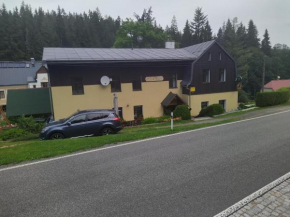 Отель Penzion Borovice  Йозефов Дол